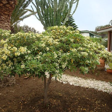 سان ليون Villa Cetta B&B المظهر الخارجي الصورة