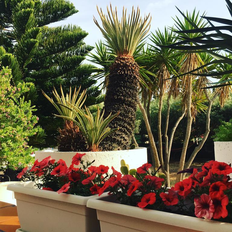 سان ليون Villa Cetta B&B المظهر الخارجي الصورة